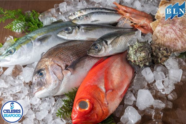There is No Such Thing as Fresh Fish Except the One That is Still Alive. Why?